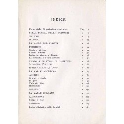 Le Vallate del Cismon (Feltre, Primiero, S. Martino di Castrozza), del Cordevole (Belluno e l'Agordino), del Maè (Longarone e l