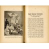 [Rocznik Samborski] Wydawnictwo na cele dobroczynne samborskie. XIII. Rocznik. Nowa serja illustrowana (1889-1890)