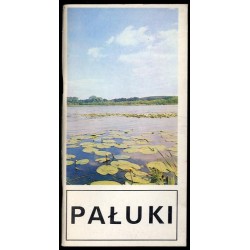 Pałuki