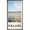 Pałuki