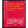 Górny Śląsk i Zagłębie w dawnych opisach. Wiek XIX