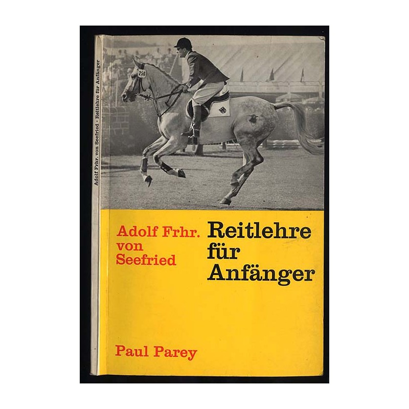 Reitlehre für Anfänger