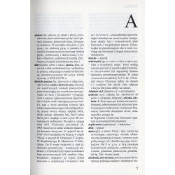 Słownik szkolny. Terminy i pojęcia z wiedzy o sztuce