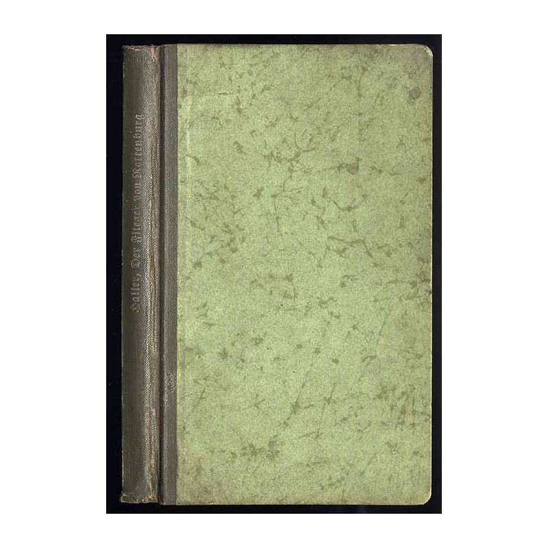 Der Flieger von Rottenburg. Hanns Haller erzählt das Leben des Schlossergesellen und Kriegsfliegers Max Ritter von Müller