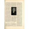 Tęcza. Ilustrowane pismo tygodniowe. R. 2 (1928). Z. 29 (21 lipca 1928) / Kamil Mackiewicz / Stanisław Szpotański / Wacław Piotr