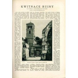 Tęcza. Ilustrowane pismo tygodniowe. R. 2 (1928). Z. 29 (21 lipca 1928) / Kamil Mackiewicz / Stanisław Szpotański / Wacław Piotr