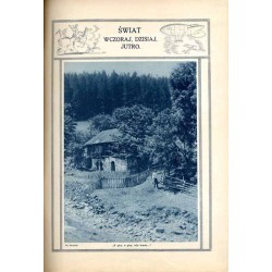 Tęcza. Ilustrowane pismo tygodniowe. R.3 (1929). Z. 24 (15 czerwca 1929) / Mieczysław Szczepkowski / Kazimierz Sichulski / Joann