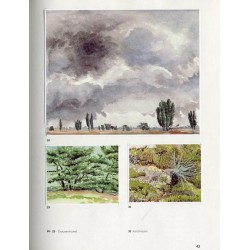 Het Drentse Landschap tekenend. Han van Hagen. Warner Hemstede. Mark Lisser. Jan van Loon. Evert Musch. Frans van der Veen. Ben
