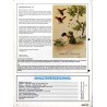 Gruss Aus... Das Magazin für den Luxus-Papier + Ansichtskarten-Sammler. R.6 (1988). Nr 25 (Mai-Juni 1988)