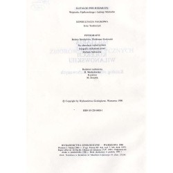 Militaria z dawnej kolekcji wilanowskiej. Katalog obiektów zachowanych