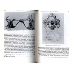 Rocznik Historii Sztuki. T.19 (1992)