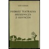 Podróż teatralna Mickiewicza z Odyńcem. Fantazja