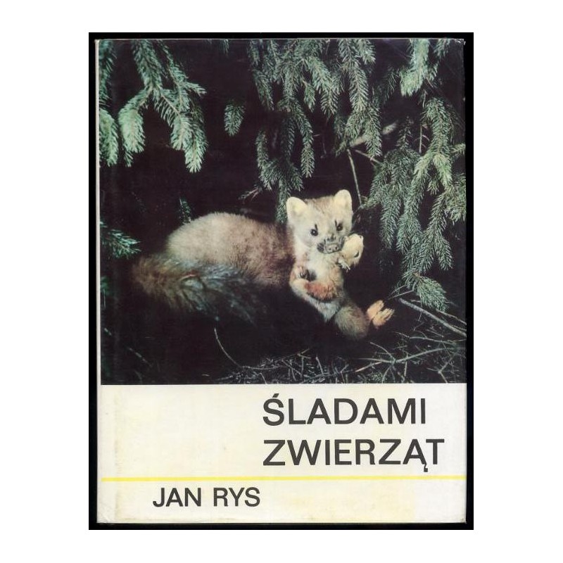 Śladami zwierząt
