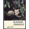 Śladami zwierząt