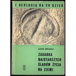 Zagadka najstarszych śladów życia na Ziemi