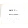 Ulice Opola