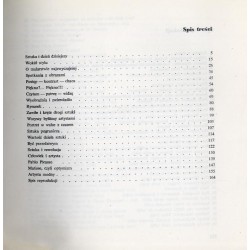 O malarstwie najzwyczajniej