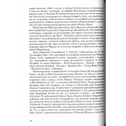 Dagerotyp. Nr 20 (2011) / historia fotografii / dagerotypista Louis Birk / Stanisław Bizański