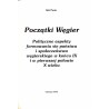 Początki Węgier. Polityczne aspekty formowania się państwa i społeczeństwa węgierskiego w końcu IX i w pierwszej połowie X wieku