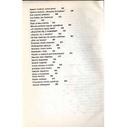 Śląsk: ogniwo tradycji. Rozważania o historii i kulturze