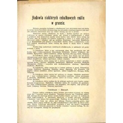 Hodowla niektórych cebulkowych roślin w gruncie