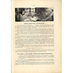 "Hejnał". Miesięcznik wiedzy duchowej. R. 9 (1937). Z. 8 (Sierpień 1937)