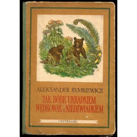 Jak bóbr ukradkiem wędrował z niedźwiadkiem