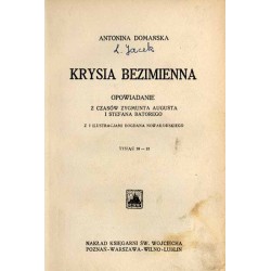 Krysia Bezimienna. Opowiadanie z czasów Zygmunta Augusta i Stefana Batorego