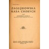 Zagłębiowska kasa chorych