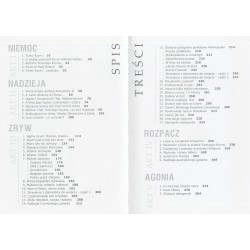 Powstanie Styczniowe. Nieznane obrazy, zapomniane wiersze