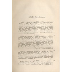 Das höfische Leben zur Zeit der Minnesinger. B.2