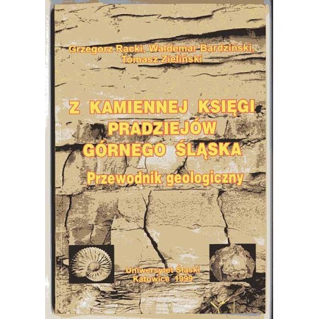 Z kamiennej księgi pradziejów Górnego Śląska. Przewodnik geologiczny