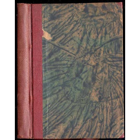 W głębi dżungli. Dzieje misji salezjańskiej w Katandze