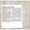 Pożegnania warszawskie
