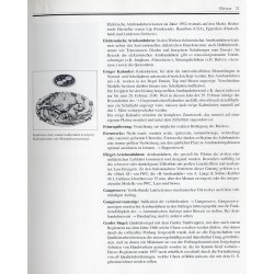 Battenberg Antiquitäten-Kataloge Armbanduhren