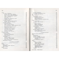 Historia literatury łacińskiej w starożytności. Zarys