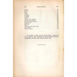 Supplementum comicum: comoediae graecae fragmenta post editiones Kockianam et Kaibelianam reperta vel indicata collegit / dispos