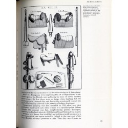 The Book of Horses
