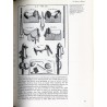The Book of Horses