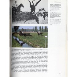 The Book of Horses