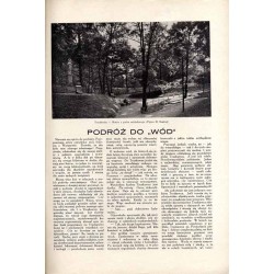 Tęcza. Ilustrowane pismo tygodniowe. R.5 (1931). Z. 37 (12 września 1931) / Antonina Niemczewska / Truskawiec