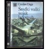 Środki walki wojsk lądowych
