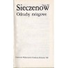Odruchy mózgowe