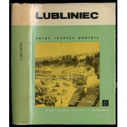 Lubliniec. Zarys rozwoju powiatu