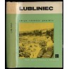 Lubliniec. Zarys rozwoju powiatu