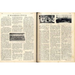 Wiarus. Organ Korpusu Podoficerów Zawodowych Wojska Lądowego, Marynarki Wojennej i Korpusu Ochrony Pogranicza. R.4 (1933). Nr 24