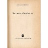 Barwne płomienie