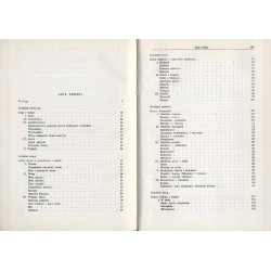 Życie codzienne w Galii w okresie pokoju rzymskiego (I-III wiek n.e.)