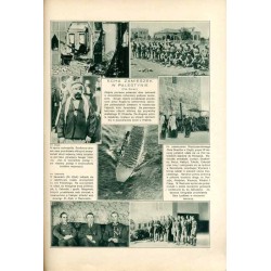 Tęcza. Ilustrowane pismo tygodniowe. R.3 (1929). Z. 38 (21 września 1929) / Edmund John / Chyrów / Poznań Pawilon Łowiectwa i pr