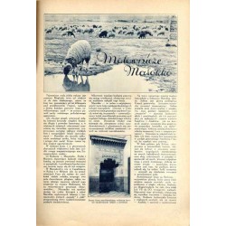 Tęcza. Ilustrowane pismo tygodniowe. R.3 (1929). Z. 38 (21 września 1929) / Edmund John / Chyrów / Poznań Pawilon Łowiectwa i pr